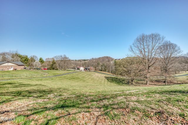 16 Chaucer Court, Gray, TN 37615