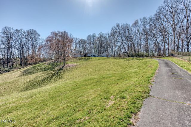 16 Chaucer Court, Gray, TN 37615