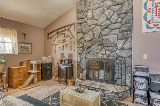 16 Chaucer Court, Gray, TN 37615