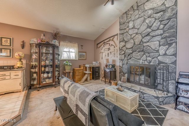 16 Chaucer Court, Gray, TN 37615