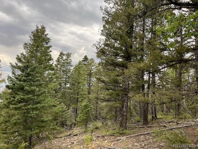 Lot 6184 Ryland Road, San Luis, CO 81152