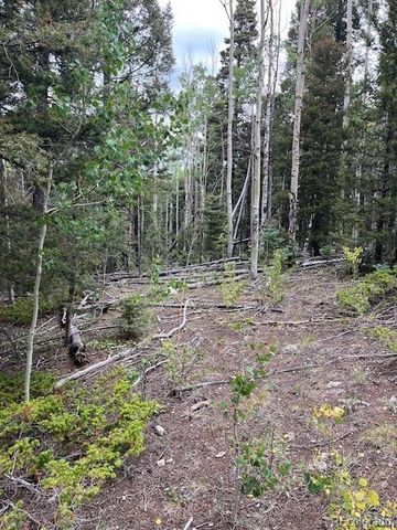 Lot 6184 Ryland Road, San Luis, CO 81152