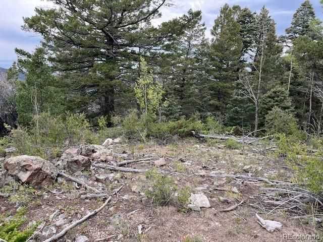 Lot 6184 Ryland Road, San Luis, CO 81152