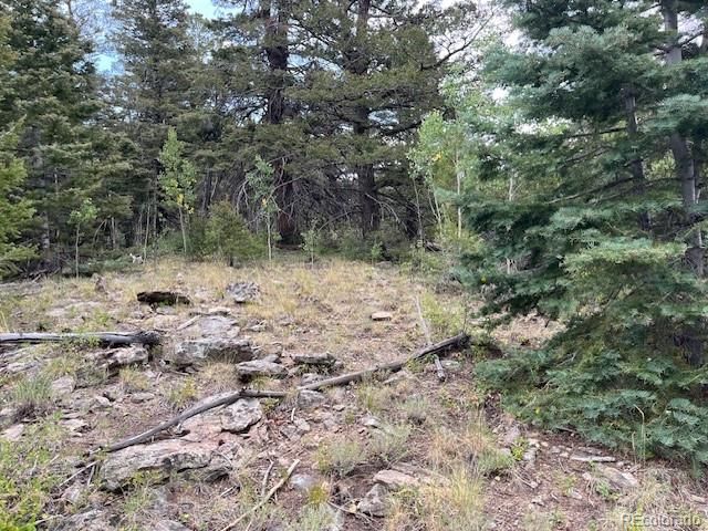 Lot 6184 Ryland Road, San Luis, CO 81152