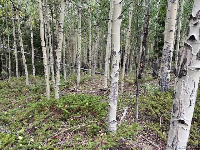 Lot 6184 Ryland Road, San Luis, CO 81152