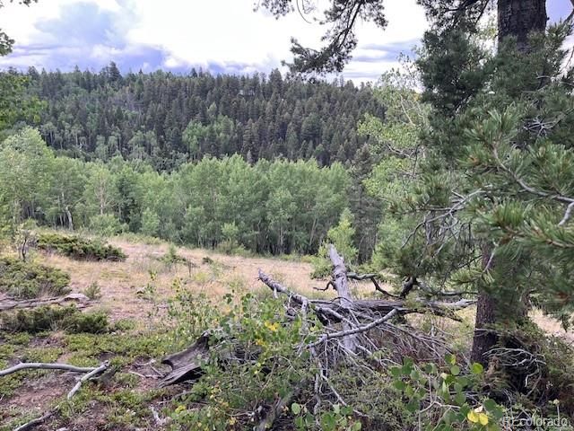 Lot 6184 Ryland Road, San Luis, CO 81152