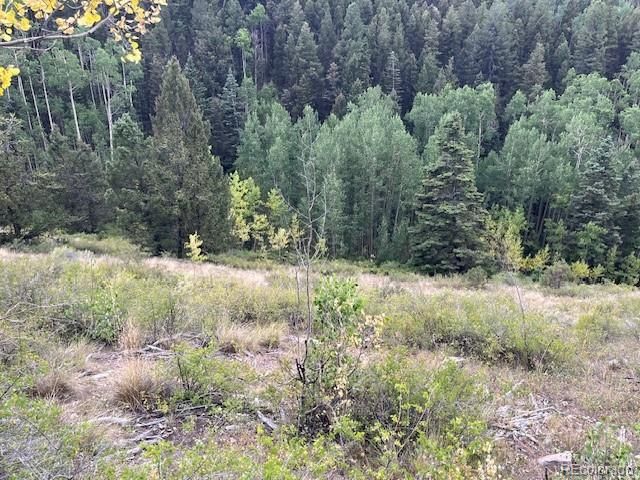 Lot 6184 Ryland Road, San Luis, CO 81152