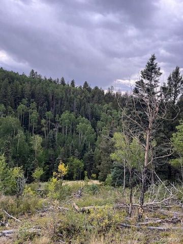 Lot 6184 Ryland Road, San Luis, CO 81152