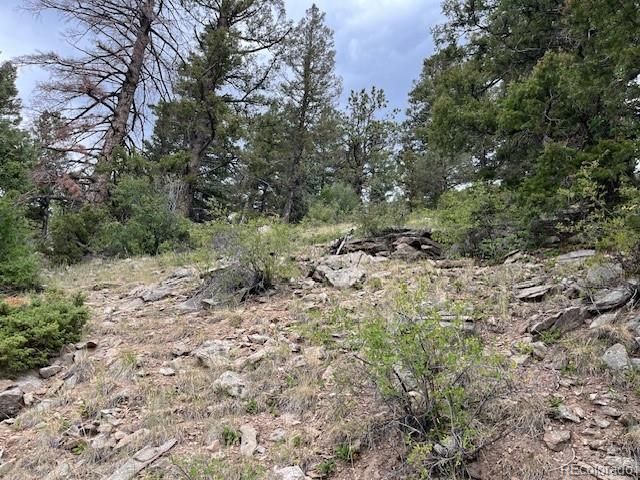Lot 6184 Ryland Road, San Luis, CO 81152