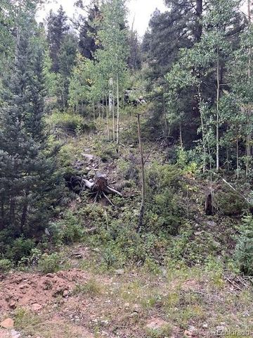 Lot 6184 Ryland Road, San Luis, CO 81152