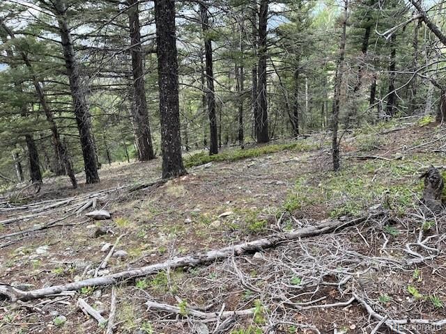 Lot 6184 Ryland Road, San Luis, CO 81152