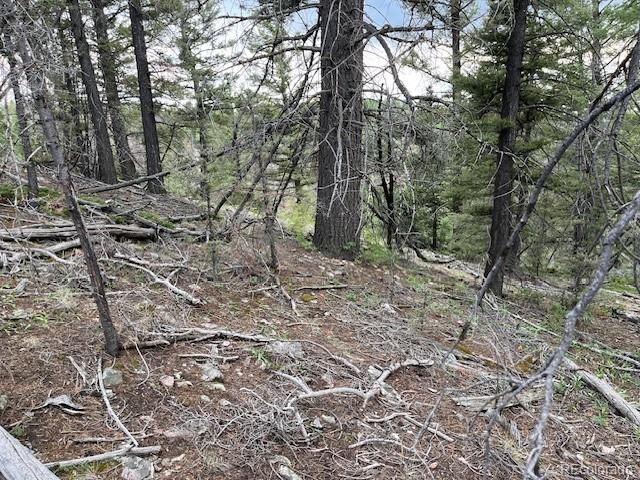 Lot 6184 Ryland Road, San Luis, CO 81152