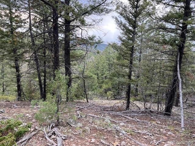 Lot 6184 Ryland Road, San Luis, CO 81152