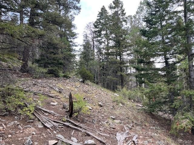 Lot 6184 Ryland Road, San Luis, CO 81152