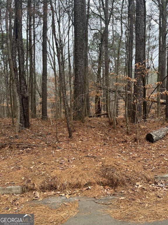 LOT 3 Lake Esther Drive, Fairburn, GA 30213