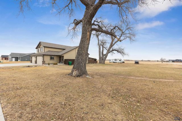 1144 SINGLE TREE DR, Piedmont, SD 57769