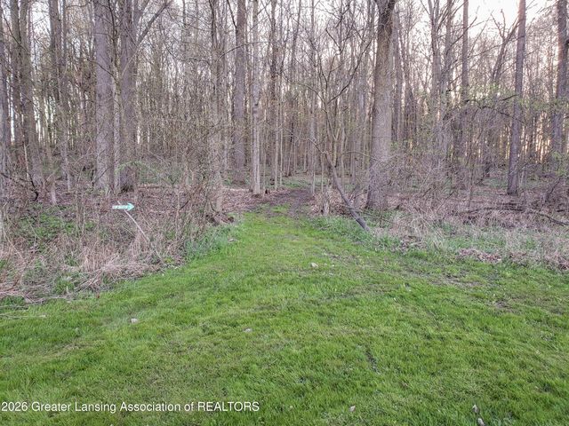 1416 S Ainger Road, Charlotte, MI 48813