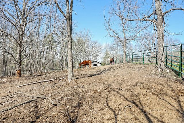 25598 C-228, Norwood, MO 65717