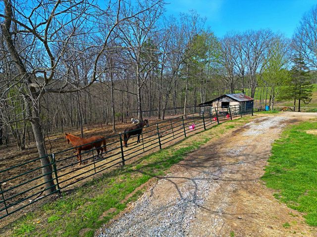 25598 C-228, Norwood, MO 65717