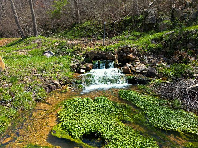 25598 C-228, Norwood, MO 65717