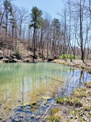 25598 C-228, Norwood, MO 65717