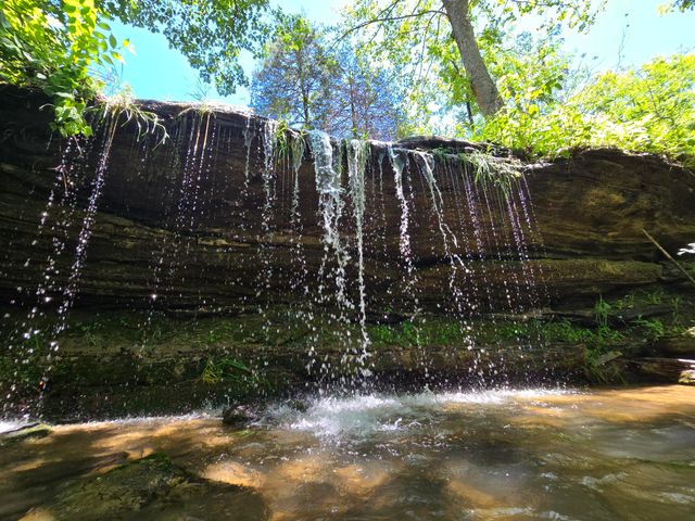 25598 C-228, Norwood, MO 65717