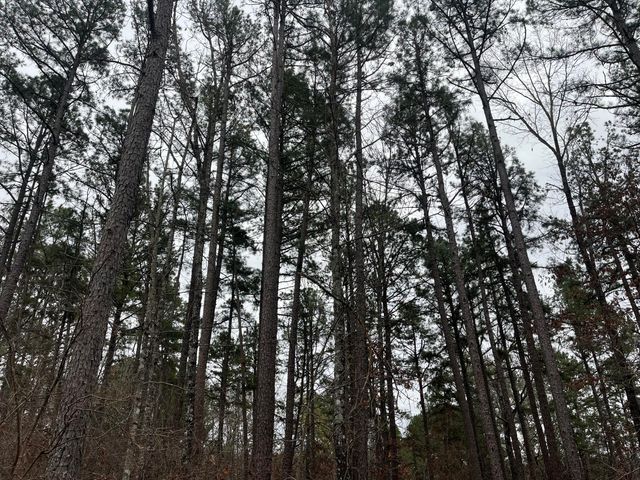 25598 C-228, Norwood, MO 65717