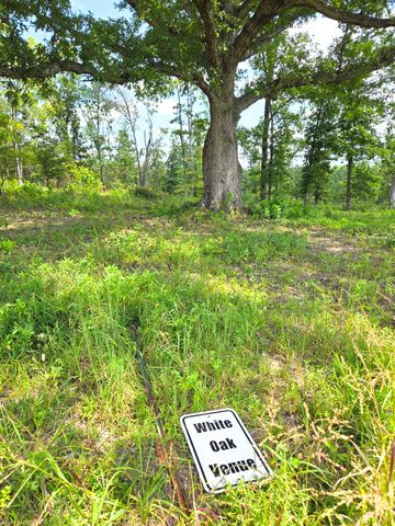 25598 C-228, Norwood, MO 65717