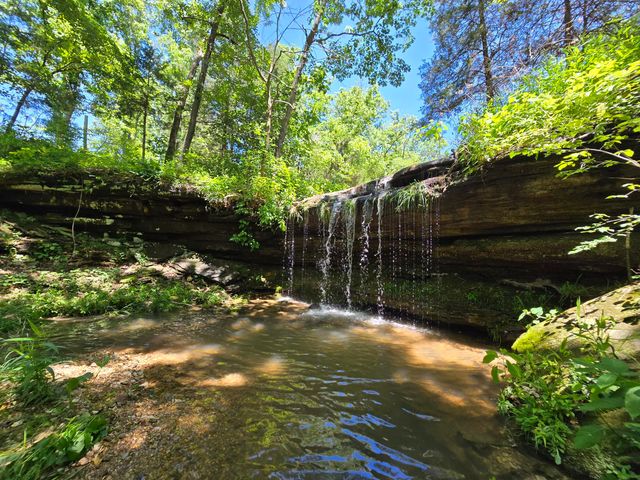 25598 C-228, Norwood, MO 65717