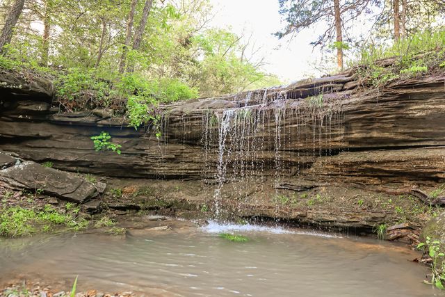 25598 C-228, Norwood, MO 65717