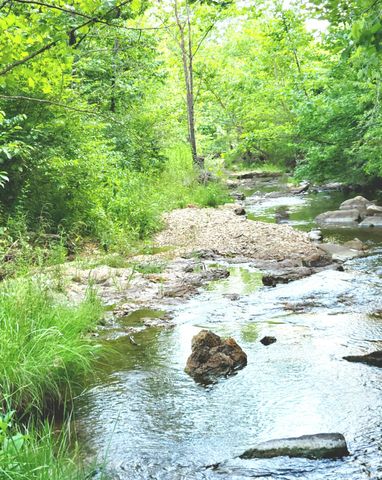 25598 C-228, Norwood, MO 65717