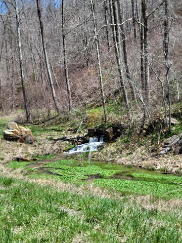 25598 C-228, Norwood, MO 65717