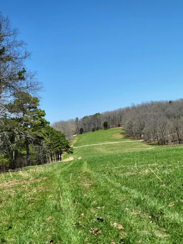 25598 C-228, Norwood, MO 65717