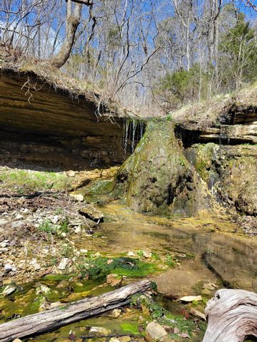 25598 C-228, Norwood, MO 65717