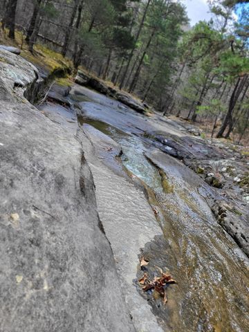 25598 C-228, Norwood, MO 65717