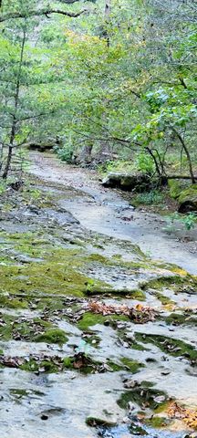 25598 C-228, Norwood, MO 65717