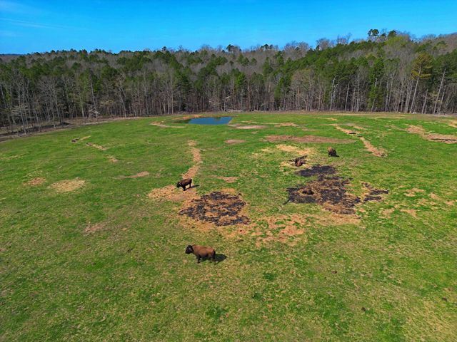 25598 C-228, Norwood, MO 65717