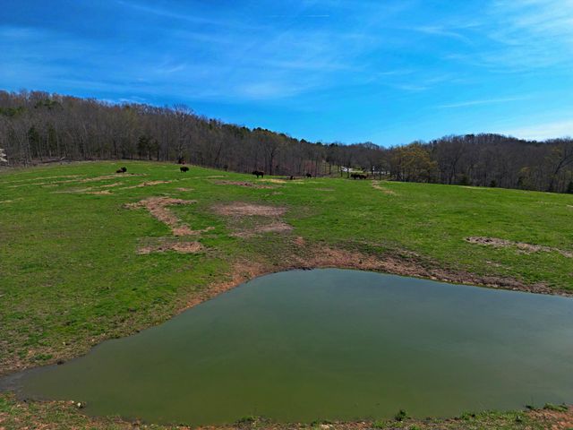 25598 C-228, Norwood, MO 65717