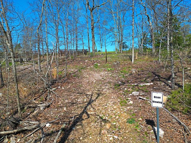 25598 C-228, Norwood, MO 65717