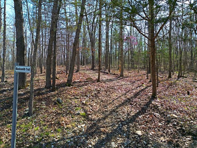 25598 C-228, Norwood, MO 65717