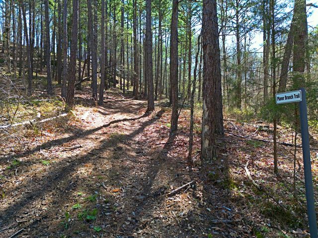 25598 C-228, Norwood, MO 65717