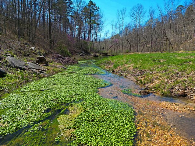 25598 C-228, Norwood, MO 65717