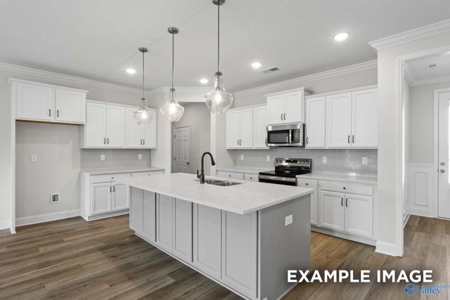 234 White Horse Way, Toney, AL 35773