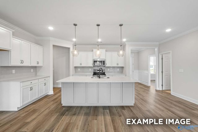 234 White Horse Way, Toney, AL 35773