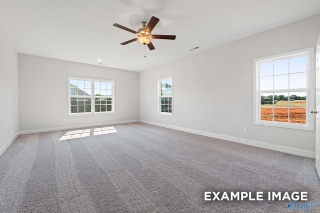 234 White Horse Way, Toney, AL 35773