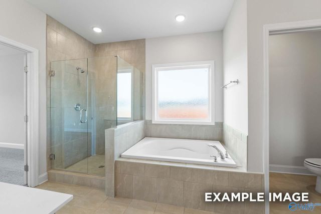 234 White Horse Way, Toney, AL 35773