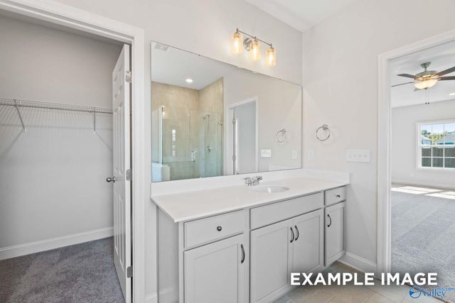 234 White Horse Way, Toney, AL 35773