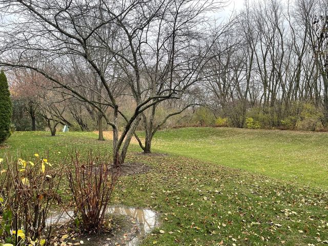 48 W Briarwood Drive, Streamwood, IL 60107