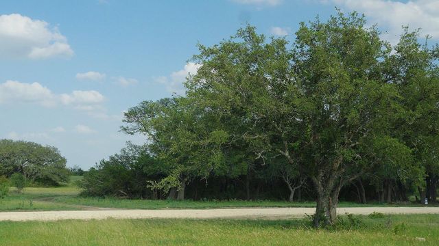 TBD Lot 5 County Rd 210, Bertram, TX 78605
