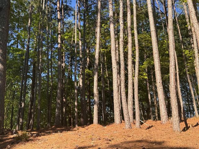 Lot 4 Grassy Creek Road, Copperhill, TN 37317